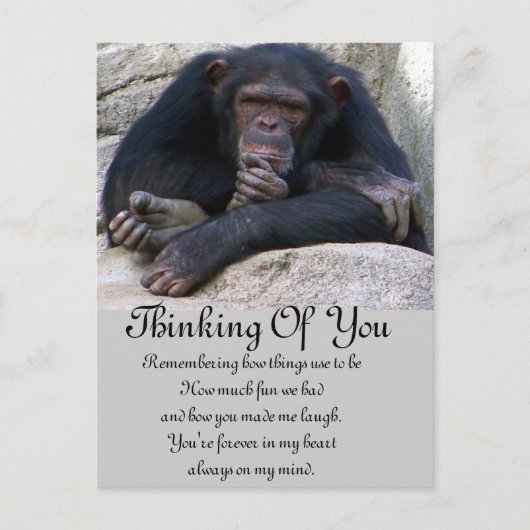 Eventuelle Ereignisse_ Postkarte (Vorderseite)