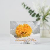 Eventuelle Ereignisse_ Postkarte (Stehend Vorderseite)