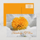 Eventuelle Ereignisse_ Postkarte (Vorne/Hinten)