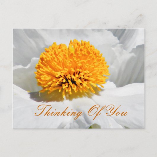 Eventuelle Ereignisse_ Postkarte (Vorderseite)