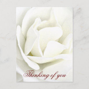 Eventuelle Ereignisse_ Postkarte