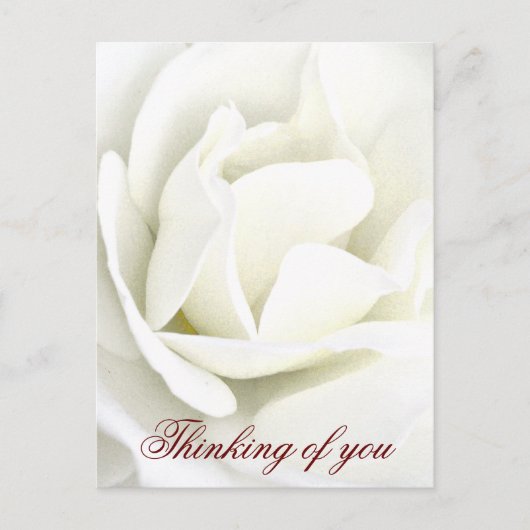 Eventuelle Ereignisse_ Postkarte (Vorderseite)