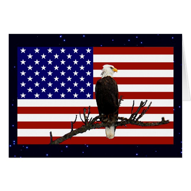 Ever Vigilant Bald Eagle (Vorderseite (Horizontal))