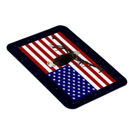 Ever Vigilant Bald Eagle Magnet (Rechte Seite)