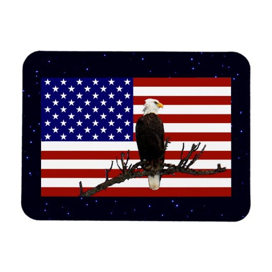 Ever Vigilant Bald Eagle Magnet (Horizontal)