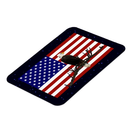 Ever Vigilant Bald Eagle Magnet (Linke Seite)