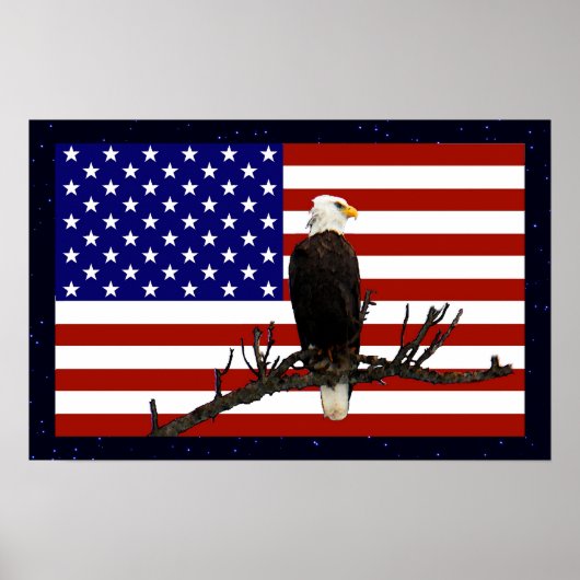 Ever Vigilant Bald Eagle Poster (Vorne)