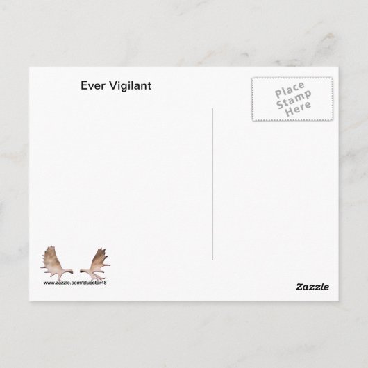 Ever Vigilant Bald Eagle Postkarte (Rückseite)
