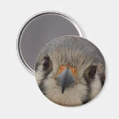 Everett Magnet (Vorderseite/Rückseite)