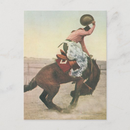 Everett McGucin auf Blue Dog Cheyenne Frontier Day Postkarte (Vorderseite)