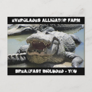 Everglades Alligator Farm - Frühstück inklusive - Postkarte