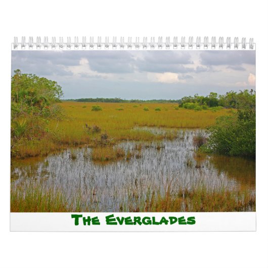 Everglades Calendar Kalender (Titelbild)