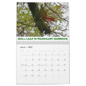 Everglades Calendar Kalender (Mär 2027)
