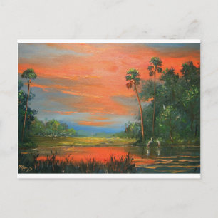 Everglades Fire Sky Postkarte