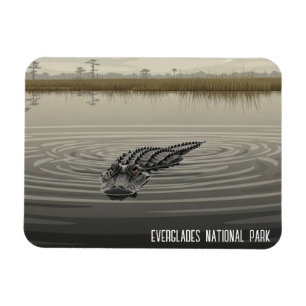 Everglades Florida Alligator Reise Magnet