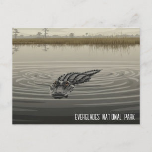 Everglades Florida Alligator Reise Postkarte