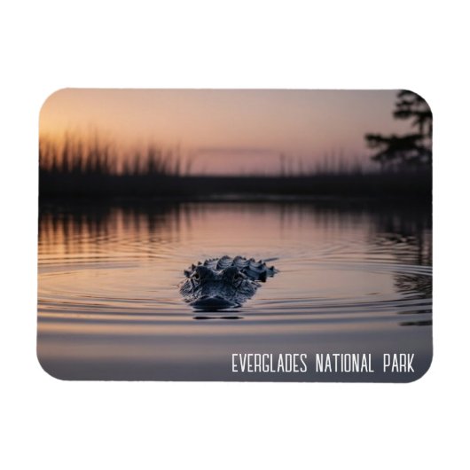 Everglades Florida Alligator Travel Magnet (Horizontal)