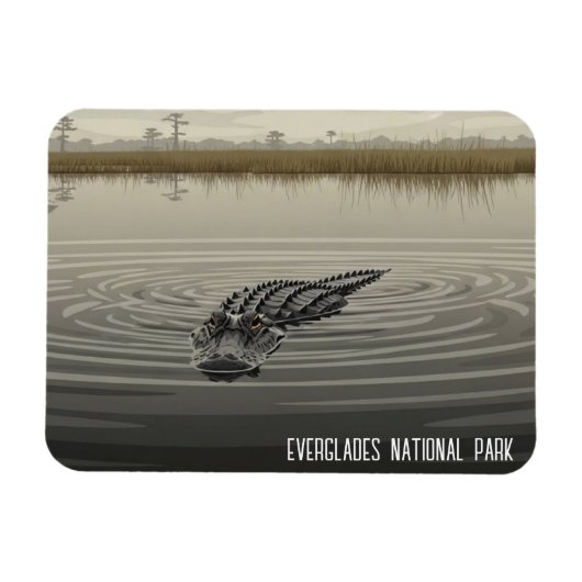 Everglades Florida Alligator Travel Magnet (Horizontal)