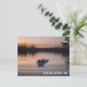 Everglades Florida Alligator Travel Postkarte (Stehend Vorderseite)