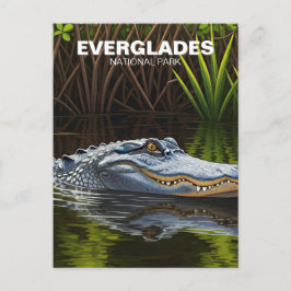 Everglades Florida Alligator Travel Postkarte