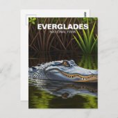 Everglades Florida Alligator Travel Postkarte (Vorne/Hinten)