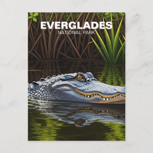 Everglades Florida Alligator Travel Postkarte (Vorderseite)