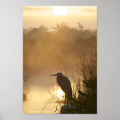 Everglades Great Blue Heron Poster (Vorne)