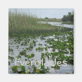 Everglades Magnet (Vorne)