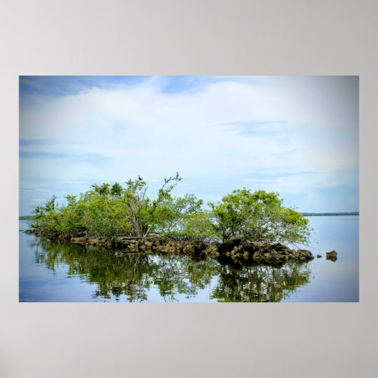 Everglades Mangroves Poster (Vorne)