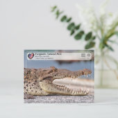 Everglades National Park - American Crocodile Postkarte (Stehend Vorderseite)