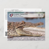 Everglades National Park - American Crocodile Postkarte (Vorne/Hinten)