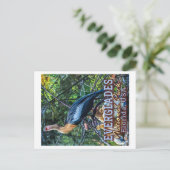 EVERGLADES NATIONAL PARK - FLORIDA VEREINIGTE STAA POSTKARTE (Stehend Vorderseite)