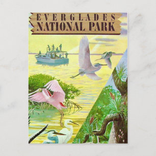 Everglades National Park Postkarte