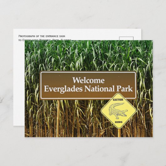 Everglades National Park Sign, Gator Crossing Postkarte (Vorne/Hinten)