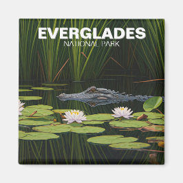 Everglades Nationalpark Alligator im Wasser Magnet