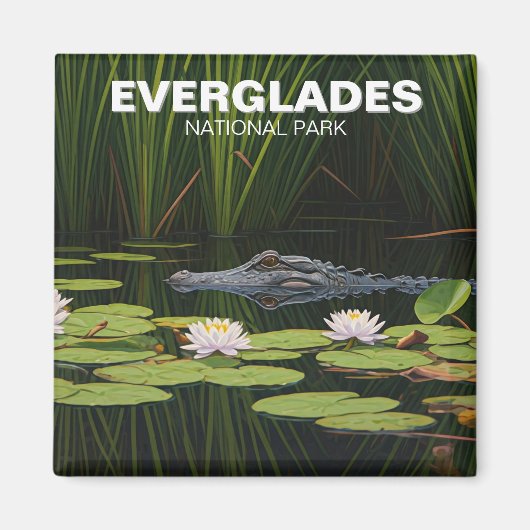 Everglades Nationalpark Alligator im Wasser Magnet (Vorne)