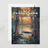 Everglades Nationalpark Alligator Sumpf Florida Postkarte (Vorne/Hinten)