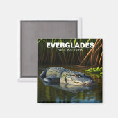 Everglades Nationalpark Florida Alligator Magnet (Vorderseite/Rückseite)