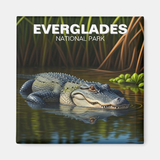 Everglades Nationalpark Florida Alligator Magnet (Vorne)