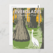 Everglades Nationalpark Florida Egret Vintag Postkarte (Vorne/Hinten)