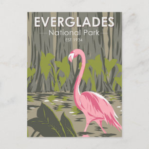 Everglades Nationalpark Florida Flamingo Vintag Postkarte