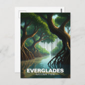 Everglades Nationalpark Florida Mangrove Postkarte (Vorne/Hinten)