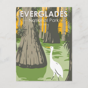 Everglades Nationalpark Florida Reiher Vintage Postkarte