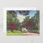 Everglades Nationalpark Florida Vintag Postkarte (Vorne/Hinten)