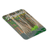 Everglades Nationalpark Illustration Magnet (Rechte Seite)