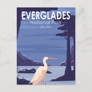 Everglades Nationalpark Nacht Reiher Vintage Postkarte