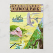 Everglades Nationalpark Postcard Postkarte (Vorderseite)
