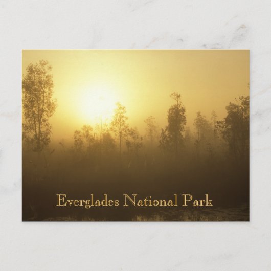 Everglades-Nationalpark Postkarte (Vorderseite)