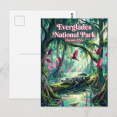 Everglades Nationalpark USA Postkarte (Vorne/Hinten)