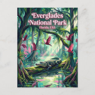 Everglades Nationalpark USA Postkarte